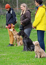 Fussarbeit und Heelwork