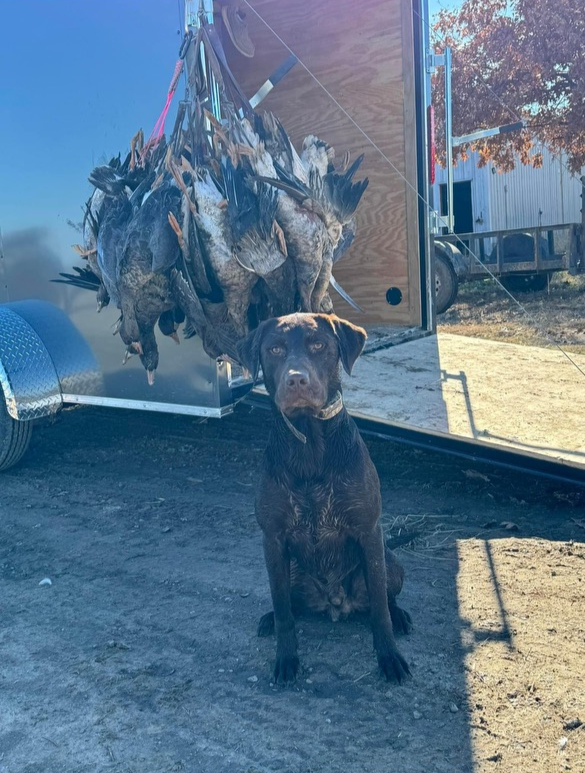 Puppy dog_edited.jpg