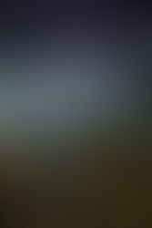 Window Function