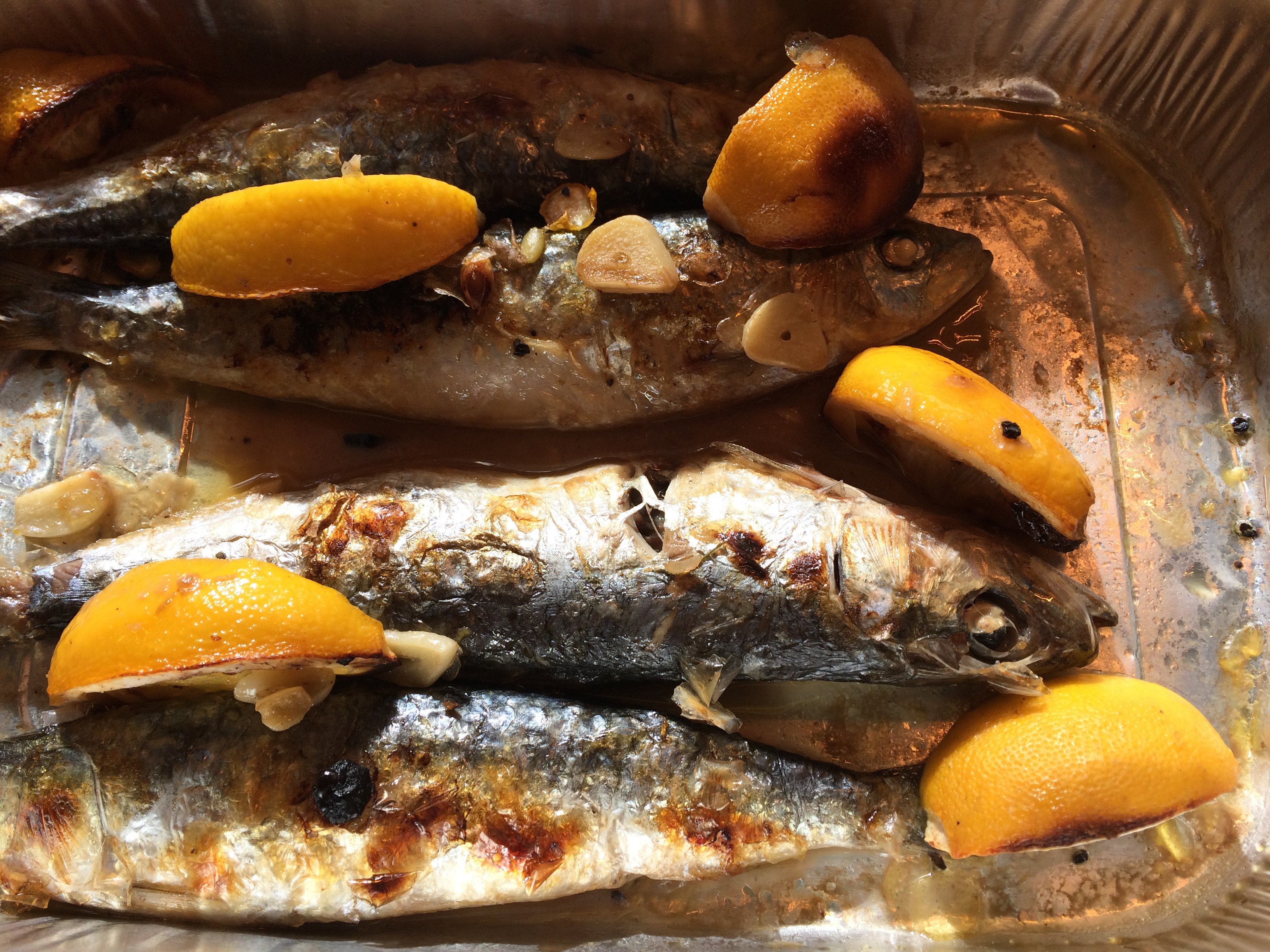 cornish sardines