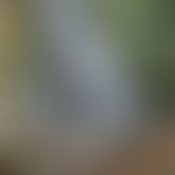 Bajo el efecto de la lluvia: Una terapia de AUTO-DESCUBRIMIENTO