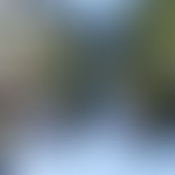 Creímos que al terminar, el mundo se detenía...