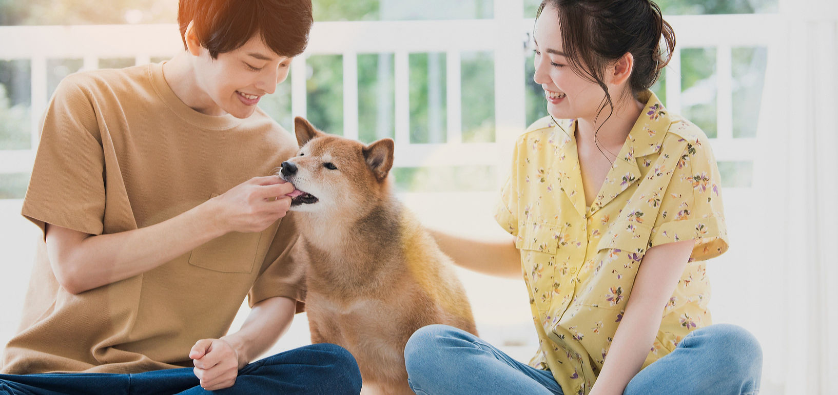 pixta_69732667_M_edited_edited_edited_ed