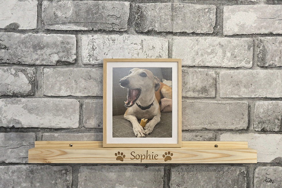 Thumbnail: Personalised Dog Photo Ledge