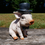 Thumbnail: Pig with Monocle Ornament