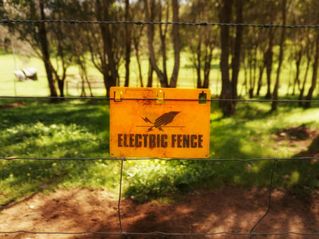 electric fence