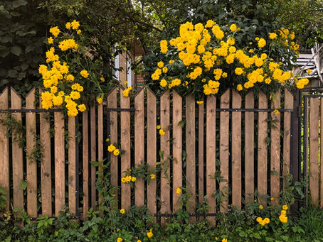 Protecting Your Residential Fence from Storm Damage