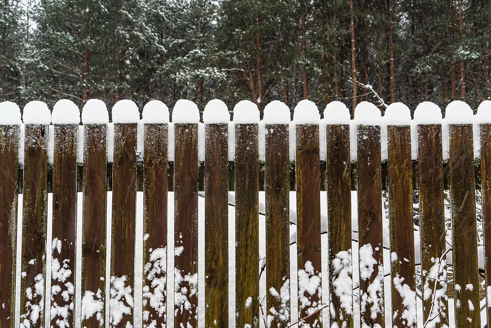 winter fence
