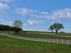 Fence 