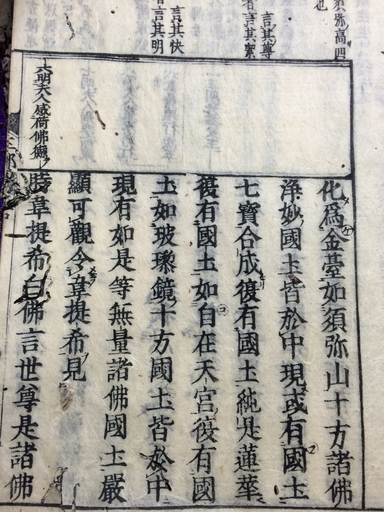 観無量寿経①