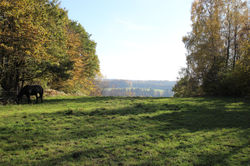 Blick von der Mauer zur Finstersteig