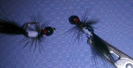 Thumbnail: Tungsten Ants