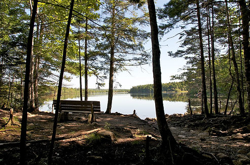 Photo 2012-09-03, 9 51 08 AM_edited.jpg