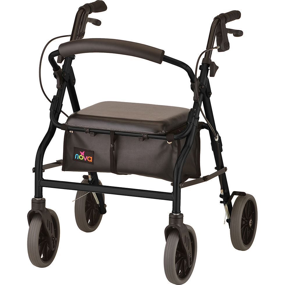 Zoom 20 Rolling Walker #4220