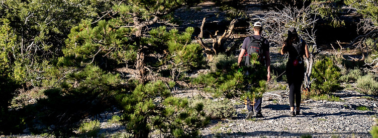 MtCharleston-130_edited.jpg