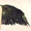 Thumbnail: VENICE ANGELS - " Street angel" black rooster feathers-small wings