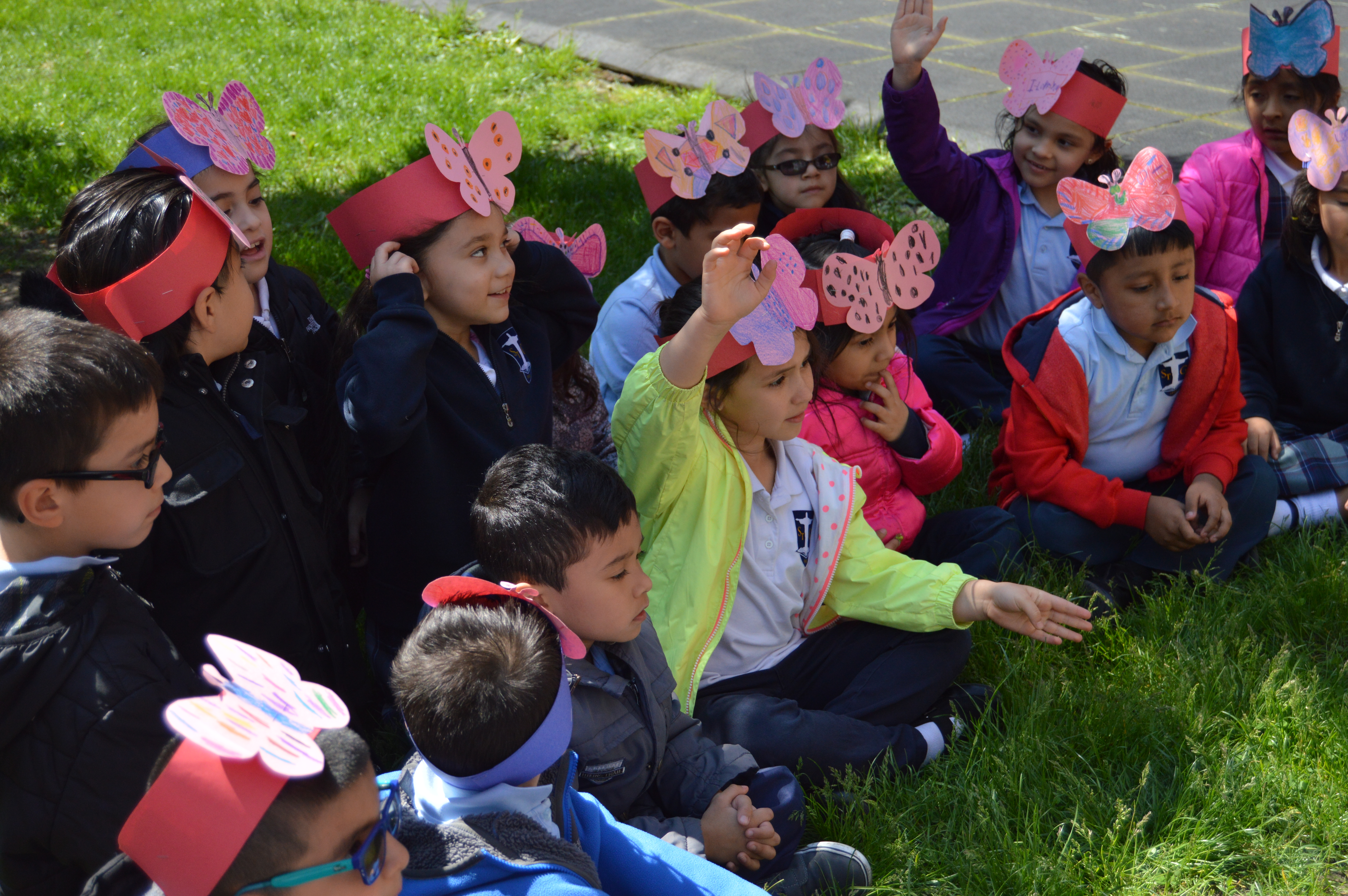 The Butterfly Release