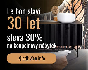 Le bon slaví 30 let (1).jpg