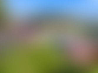 Tranquil Garden Retreat 38 Incana Road, Margate (Under Offer - 28.10.2025)