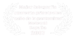 cuarenta%20principales%202007_edited.png