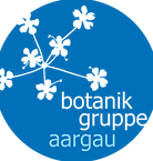 LOGO_BotGruppeAG_transparent_Farbe.png