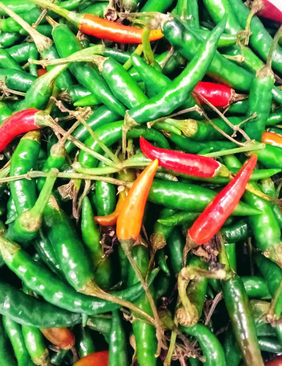 mitmita karya- hot chilli