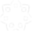 RCH logo shape white.PNG