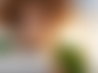 How Can a Book I Put Only 4 Months Into Be Any Good?