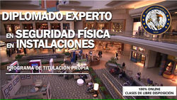 Diplomado Experto en Seguridad Fisica de Instalaciones