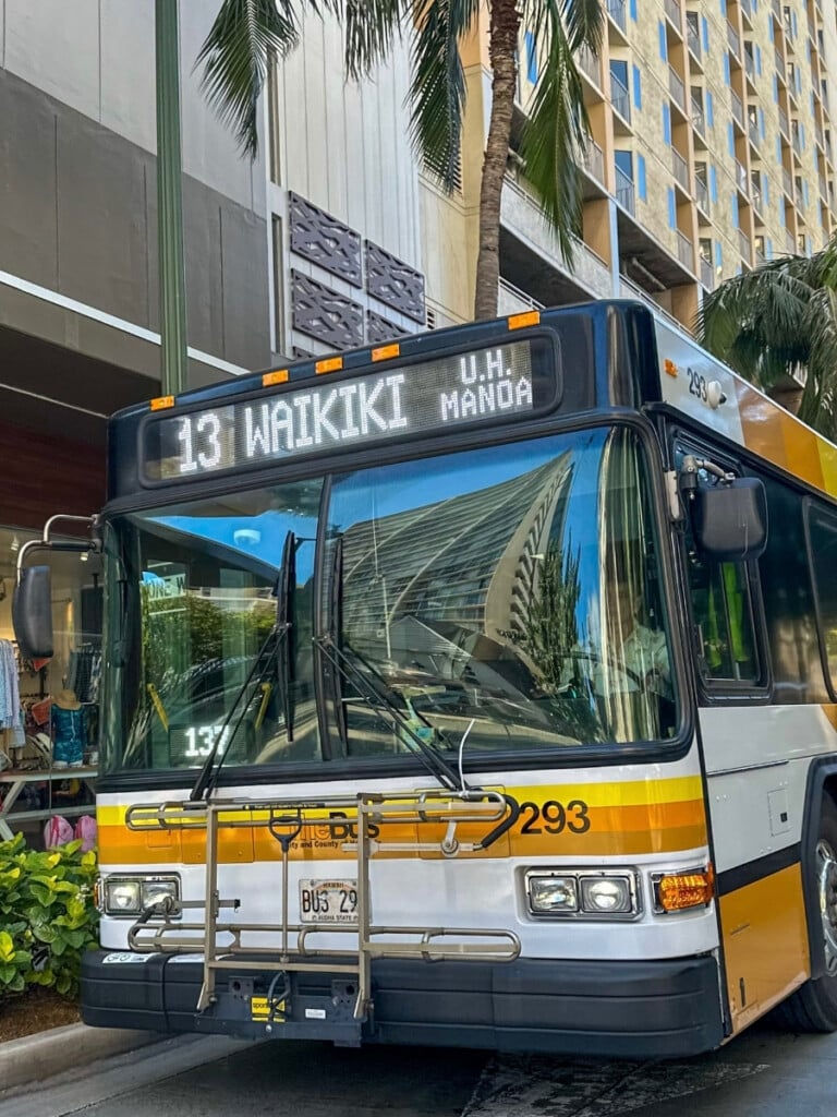 honolulu-getting-around-the-bus-768x1024.jpg