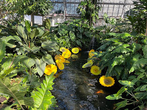 2nd and 8th Grade Buddies Visit Garfield Park Conservatory