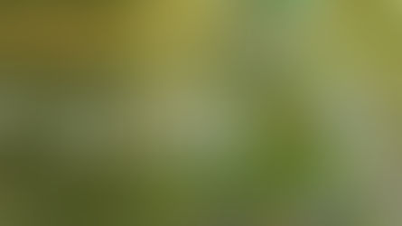 21 Tips for a Stress-Free Christmas