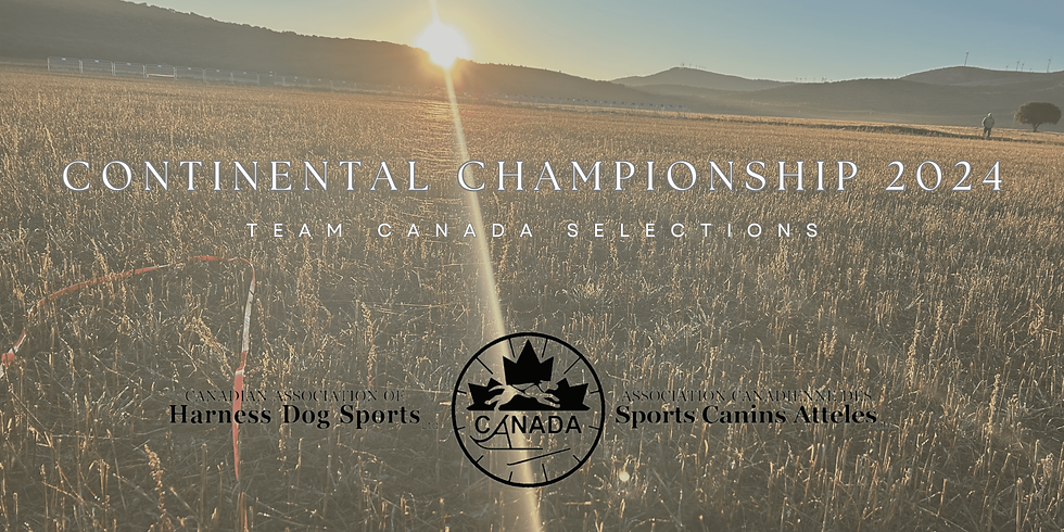 Continental Championship Banner EgFr (1).png