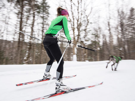 Skijoring Info & Etiquette