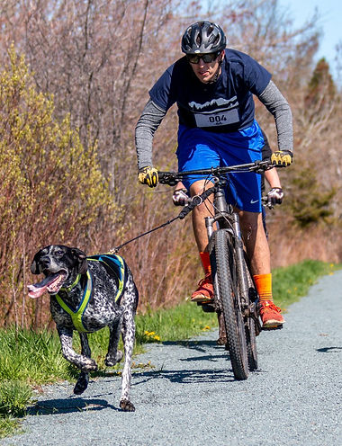 Bikejoring - CDR Ocean Dash 2019
