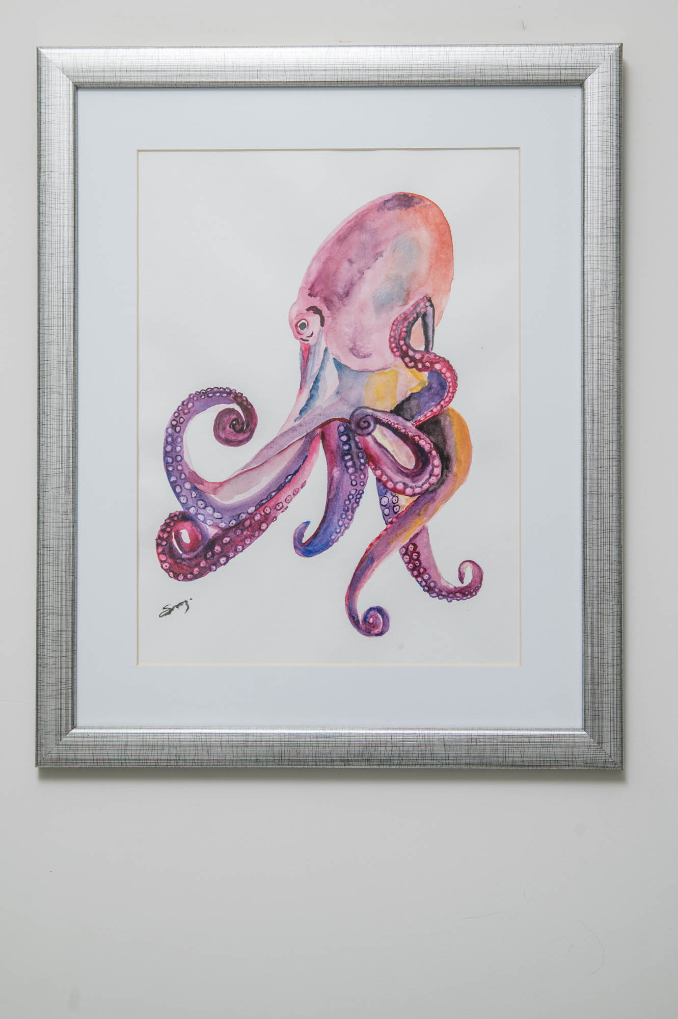 Un pulpo