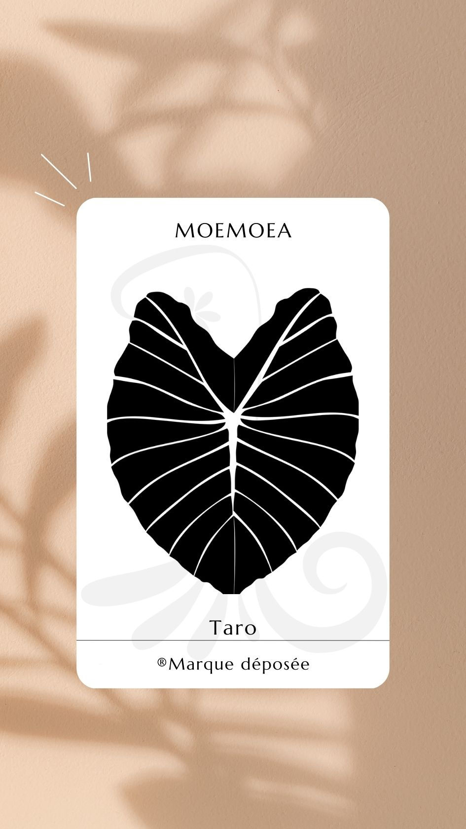 Taro