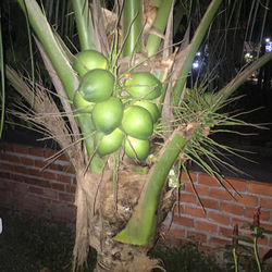 79097043_2702993616653606_1715637034418176000_n