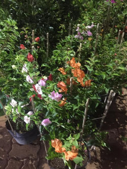 245754487_3324489887837306_1122017295577360043_n