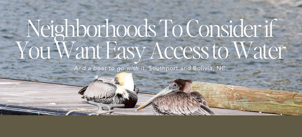 Two pelicans sitting on a dock in Southport, NC