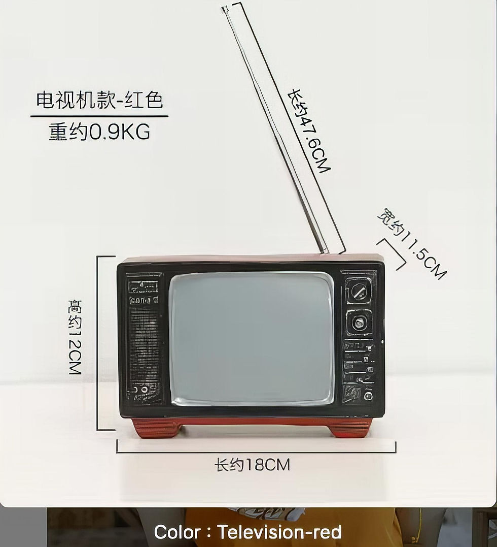 Vintage Decor Home Prop / Television