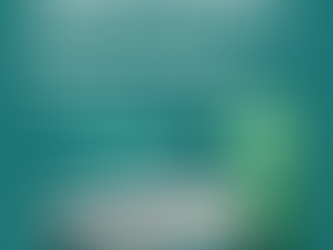 Gas Natural Vehicular