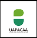 WGD25 Endcard logo UAPACAA.png