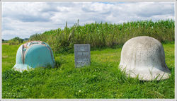 220724DSC_2784-w-web - Copy