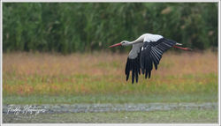 300925_F8Z_1244-w-web - Copy