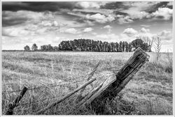 220724DSC_2807-w-webzw - Copy
