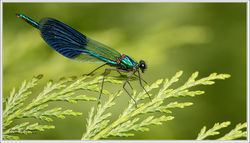 210725_DSC_5471-w-web - Copy