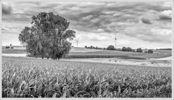220724DSC_2821-w-webzw - Copy