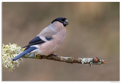 110319DSC_6763