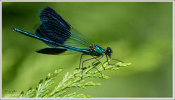 210725_DSC_5491-w-web - Copy